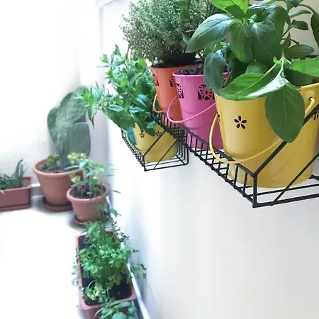 Apartmán Hydra Taranto